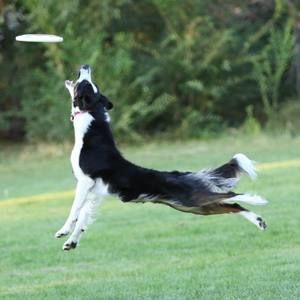 Meet your Posher, Alisha